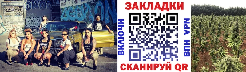 Сколько стоит Тейково COCAIN Псилоцибиновые грибы ГАШИШ СОЛЬ Конопля Меф мяу мяу