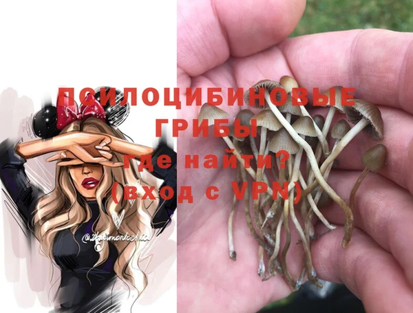 круглые Арсеньев