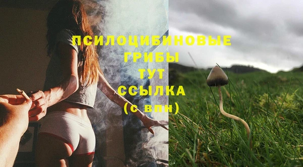 spice Аркадак